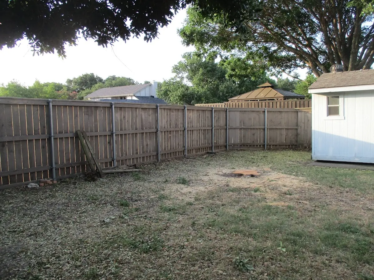 Cleared yard after professional tree removal in Knotts Island